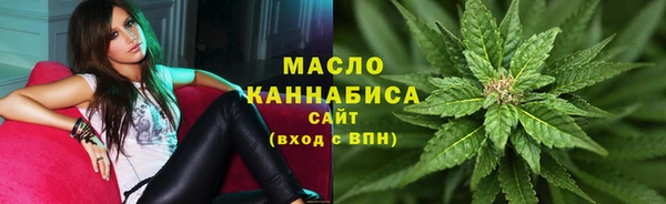 ешки Бородино