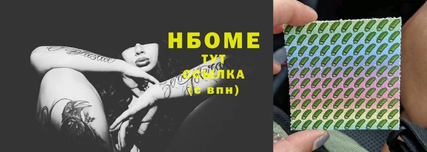 ешки Бородино
