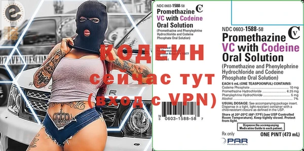 ешки Бородино