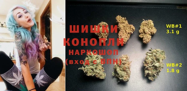 ГАЛЛЮЦИНОГЕННЫЕ ГРИБЫ Бугульма