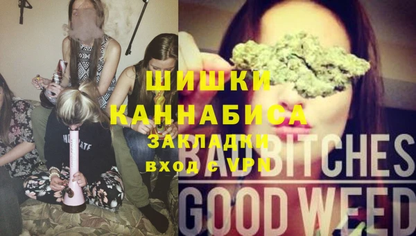 гидропоника Бронницы