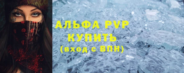 ешки Бородино