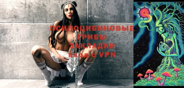 ГАЛЛЮЦИНОГЕННЫЕ ГРИБЫ Бугульма