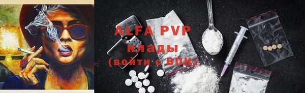 ешки Бородино